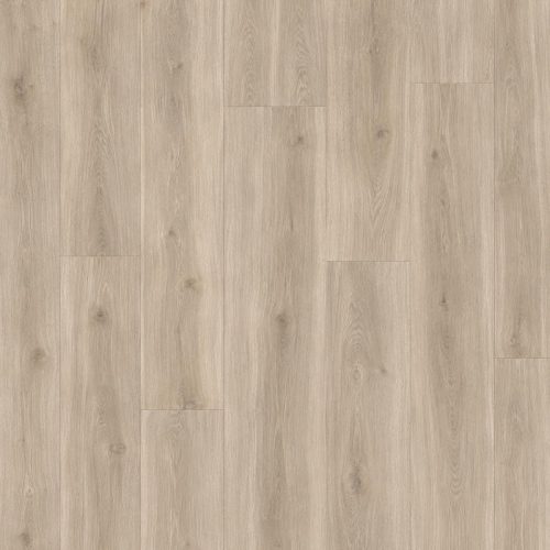 Uzorak akcijskog laminata D3509 12 mm 33/AC5 u svetlom sivobež hrastovom dekoru sa prirodnom teksturom drveta