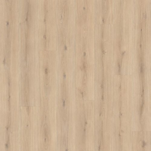 Uzorak akcijskog laminata 120 Soft Shade 8 mm 32/AC4 sa svetlim prirodnim hrast dekorom, toplim bež tonovima, blagim godovima i diskretnim čvorovima drveta