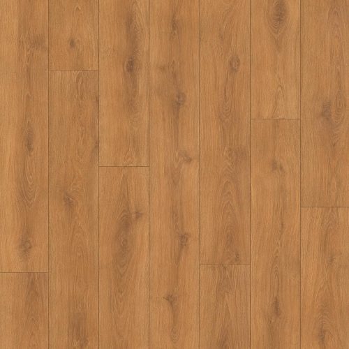 Uzorak akcijskog laminata Eiche Corno 8+2 mm 33/AC4 sa toplim medeno-smeđim hrastovim dekorom, izraženim godovima i blagim karamelnim tonovima