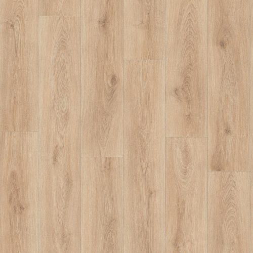 Uzorak akcijskog laminata Honig Eiche 8+2 mm 33/AC4 sa toplim medenim hrastovim dekorom, prirodnim godovima i blagim zlatnim tonovima